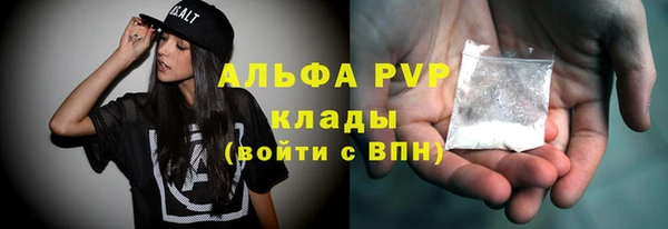 прущий лед Алзамай