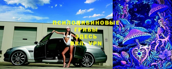 прущий лед Алзамай