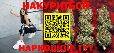 стаф Гуково