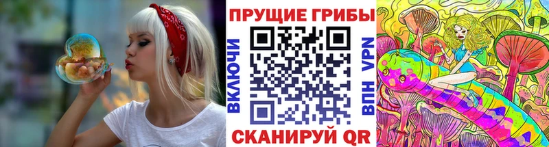 Псилоцибиновые грибы Psilocybe  купить наркотики цена  Карабулак 